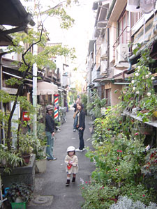 20051104.jpg