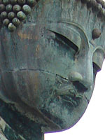 20051120.jpg
