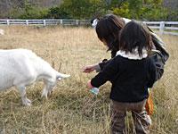 20051123.jpg