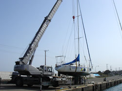 20060408.jpg