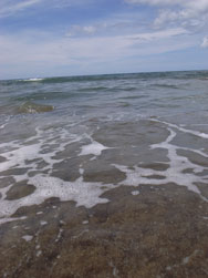 20060921.jpg