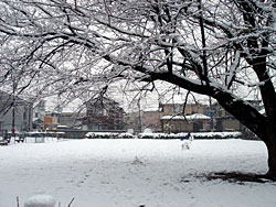 20060121