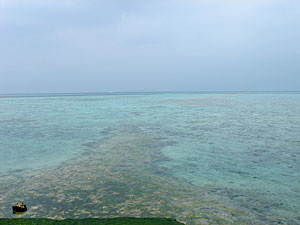 20060127