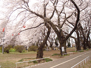 20060402