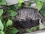 20070611_2